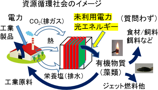 東京薬科大学