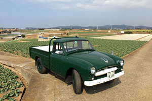 Toyota Stout（Toyota Motor Sales Co., Ltd.）