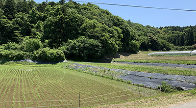 川崎市新能源振兴协会（Isuzu）