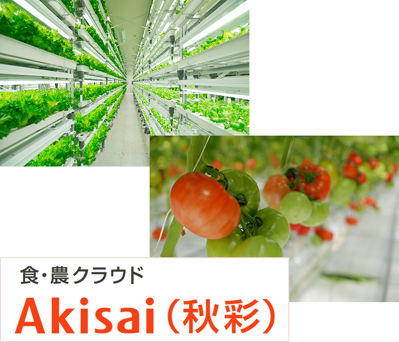 富士通株式会社 食・農クラウド Akisai(秋彩)/施設園芸サービス/Akisaiキレイヤサイ