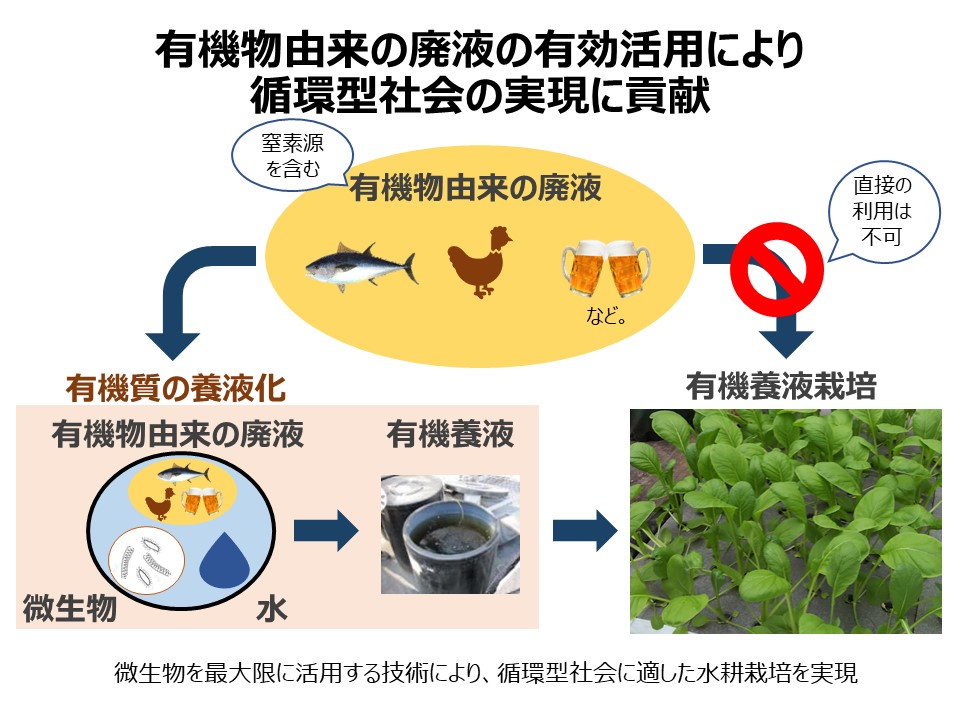 株式会社ティエラポニカ