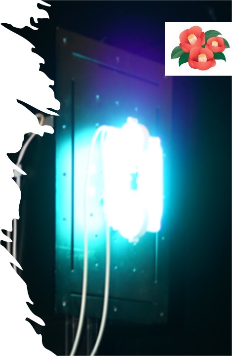 株式会社 七椿