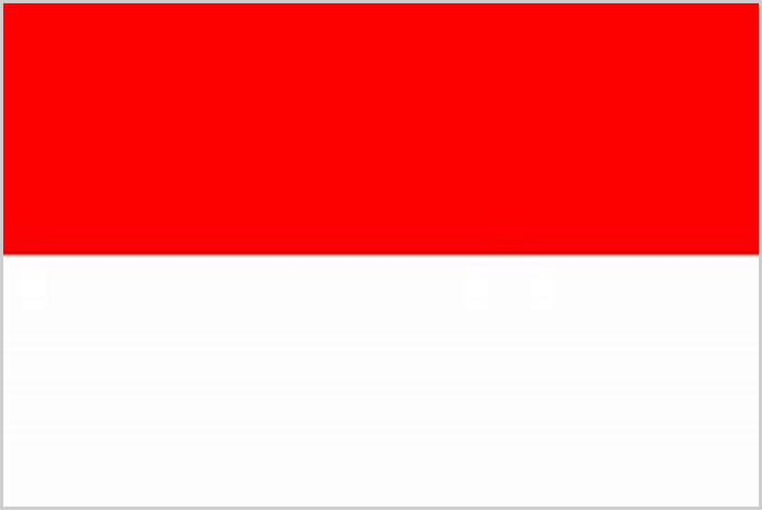 インドネシア国プカンバル市協力局